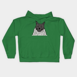 Grey Maine Coon Cat Line Drawing Kids Hoodie